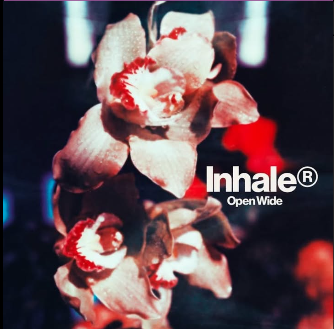 «Open Wide», lo más nuevo de «Inhaler», se acerca…